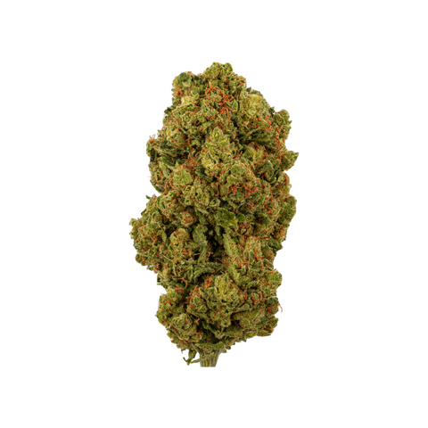 Amnesia 1g