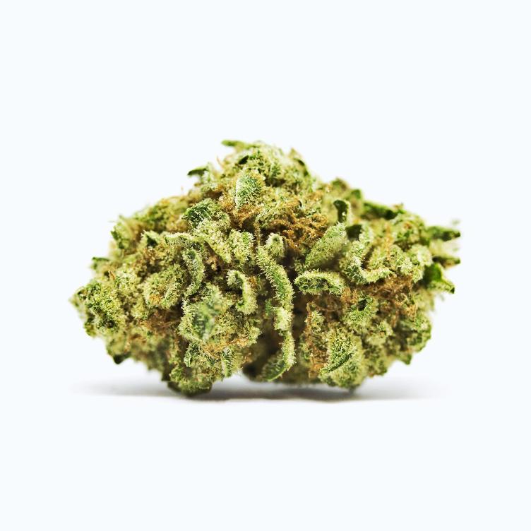 Bubble Gum 1g
