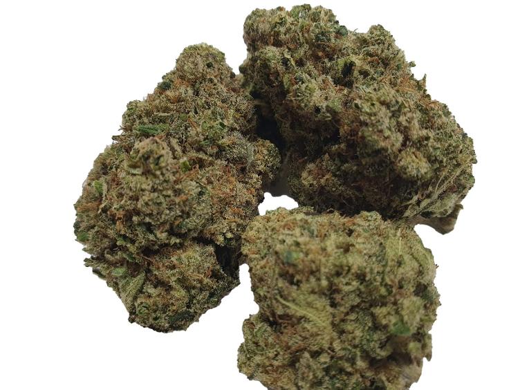 CBD-Victory 1g
