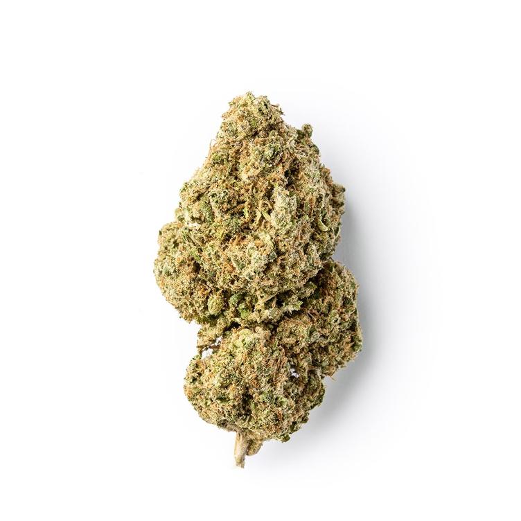Harlequin 1g